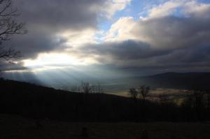 537442_10200233033101250_2091201868_n