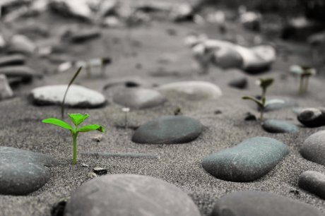 seeds_of_hope_by_iiisawiii-d4b5sc7