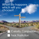 choice-fear-curiosity-250x250