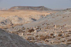 nebi-musa-judean-desert