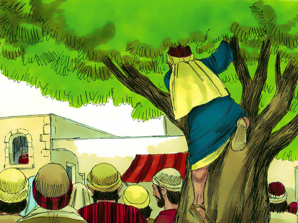 Zacchaeus in tree