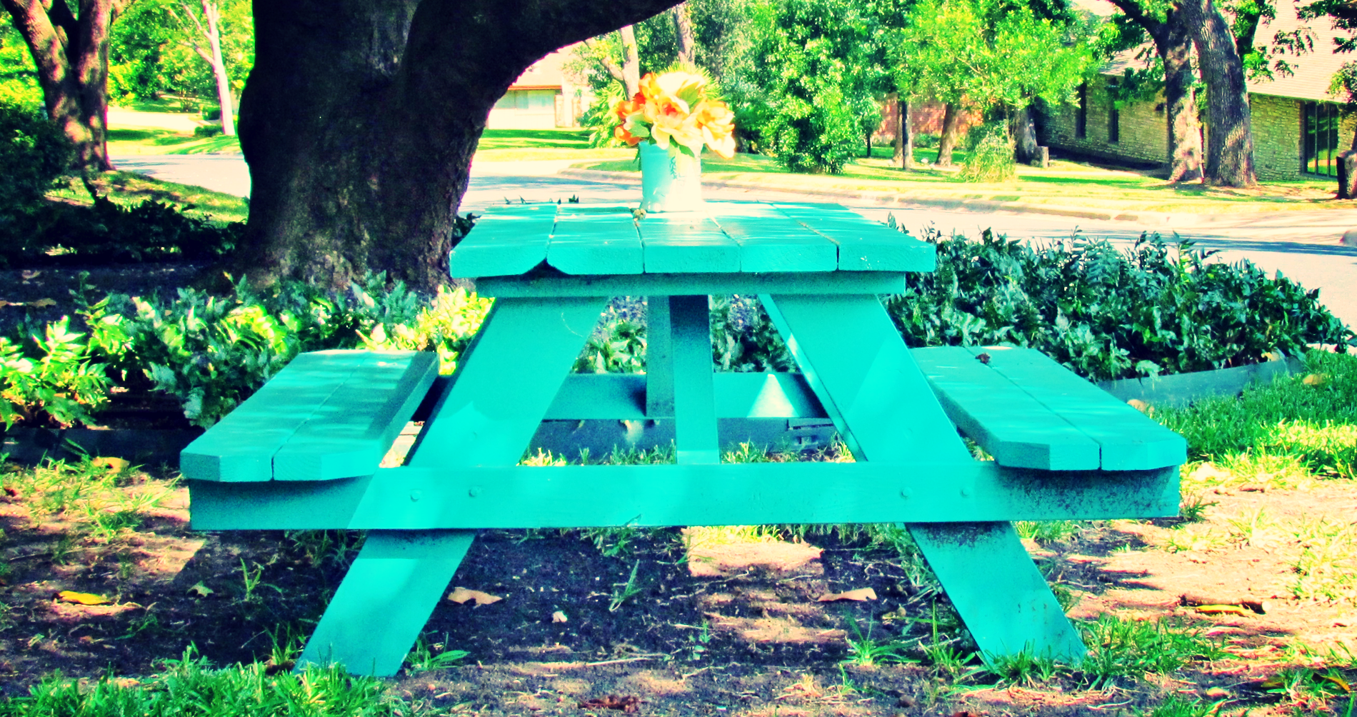 turquoise table movement